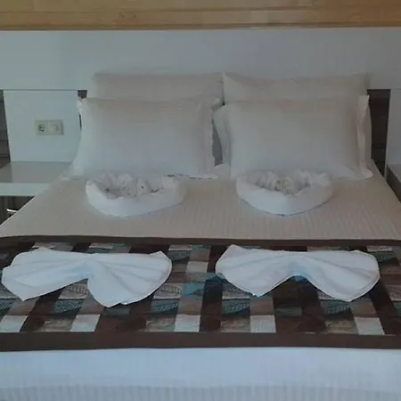 Guest house Sinemis *