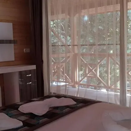 Sinemis 아드라산