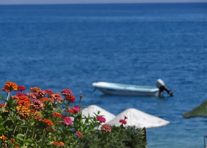 Sinemis بيت ضيافة أدراسان