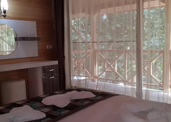 Sinemis أدراسان