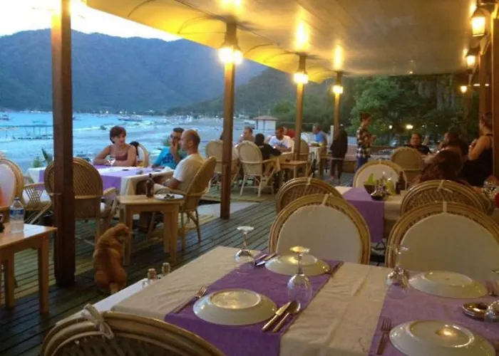 بيت ضيافة Sinemis *