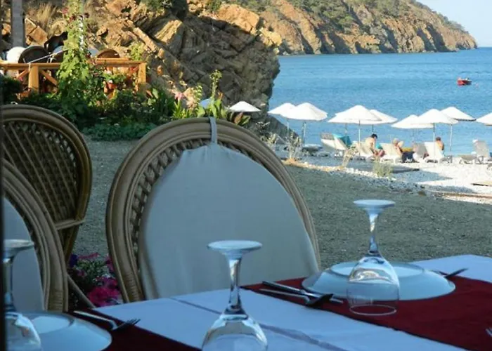 Sinemis أدراسان